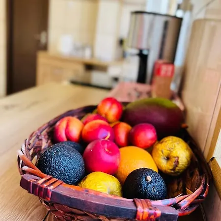 Casa Vio Τιμισοάρα