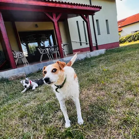 Casa Vio Villa *