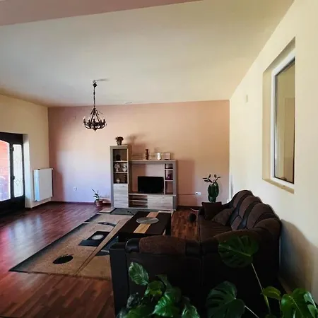 Casa Vio فيلة تيميشورا