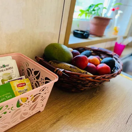 Casa Vio Βίλα Τιμισοάρα