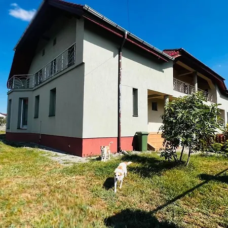 Casa Vio Vila Temešvár