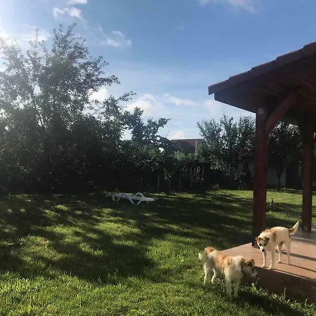 Casa Vio تيميشورا