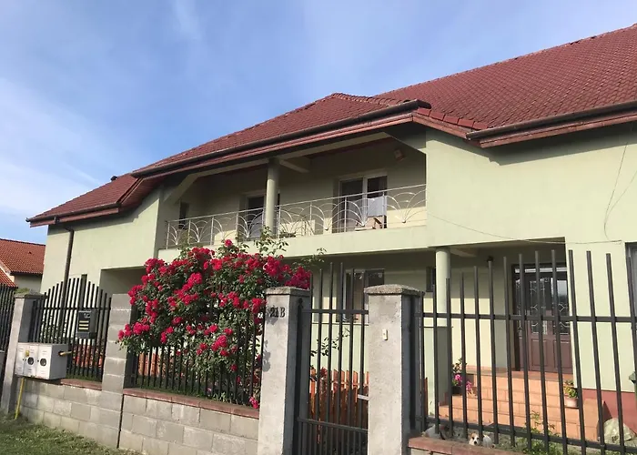 Casa Vio Тимишоара