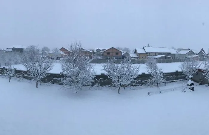 Casa Vio Тимишоара