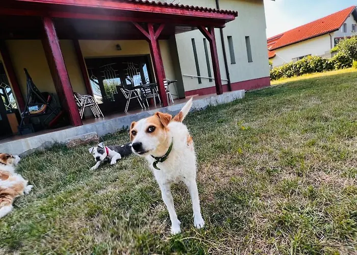 Casa Vio Вилла *