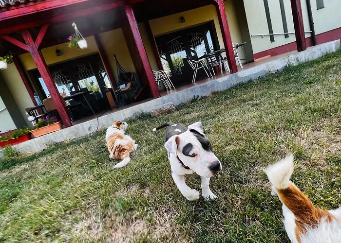 Casa Vio * Timişoara