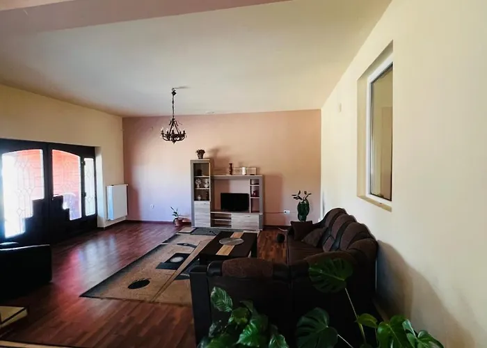 Casa Vio Вилла Тимишоара