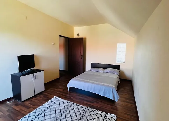 Casa Vio * Тімішоара