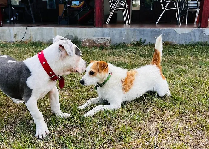 Casa Vio Вилла *