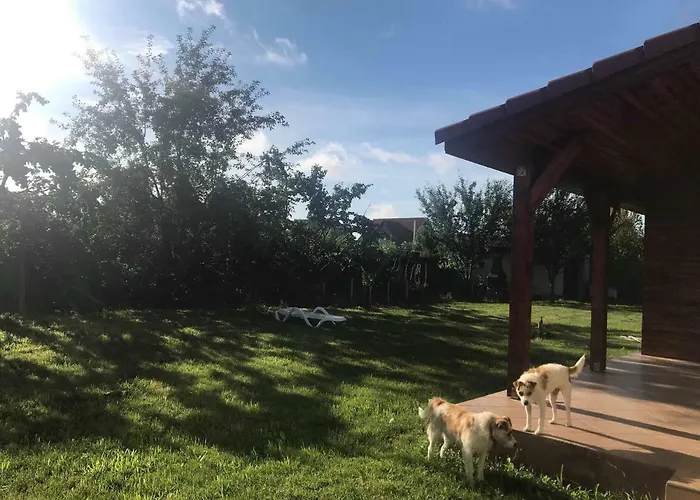 Casa Vio Тимишоара