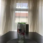 Casa Vio 别墅