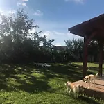 Casa Vio 蒂米什瓦拉