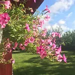 Casa Vio *