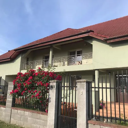 Casa Vio 蒂米什瓦拉