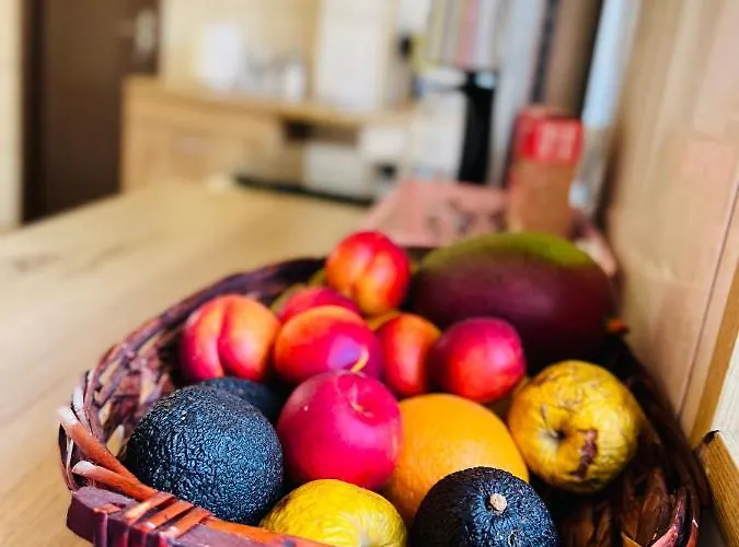 Casa Vio 蒂米什瓦拉