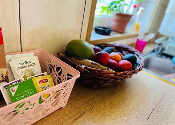 Casa Vio 别墅 蒂米什瓦拉