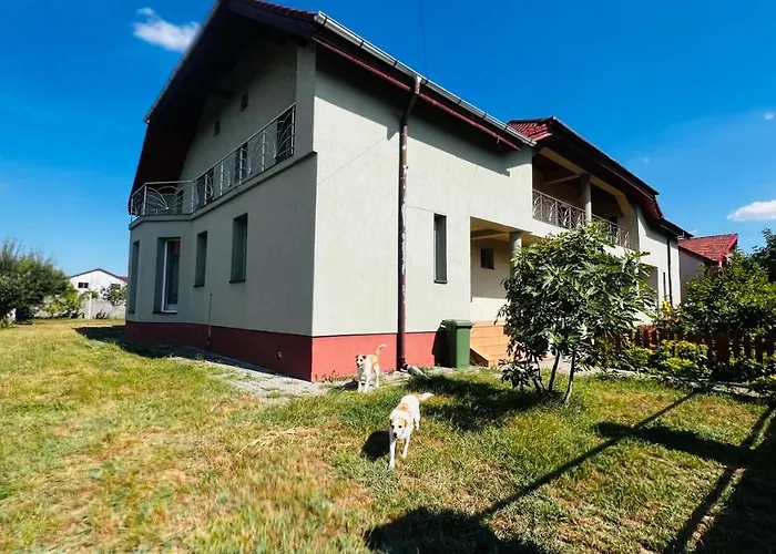 Casa Vio Willa Timișoara